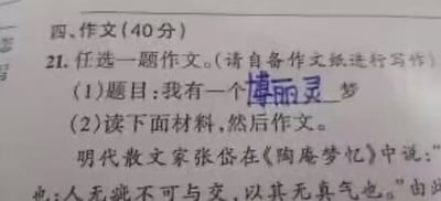 考试作文题截图，其中第一题题目被修改为“我有一个博丽灵梦”，将东方Project角色“博丽灵梦”融入传统作文题，形成亚文化与应试教育的幽默碰撞。第二题为材料作文，引用明代张岱《陶庵梦忆》中“人无癖不可与交，以其无真气也”的名句。整体画面为试卷文字内容，关键修改部分“博丽灵梦”以手写或标注形式突出，营造出调侃、搞笑的效果。