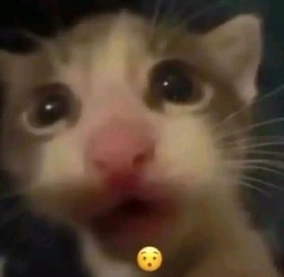 这是一张静态的猫咪特写表情素材图，猫咪因近距离拍摄导致脸部画面模糊，它圆睁双眼、微张嘴巴，呈现出震惊、错愕的神态，图片下方搭配了一个与猫咪神态呼应的黄色惊讶表情符号，整体风格滑稽搞笑，非常适合用来表达意外、震惊的情绪。