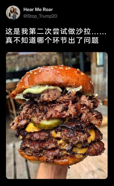 这是一张来自海外社交平台的截图，用户Hear Me Roar（账号@Stop_Trump20）发布了一张分量十足的超厚多层肉汉堡图片，汉堡拥有芝麻面包胚，内部夹着多层煎制的肉饼、融化的芝士、手撕肉以及一片酸黄瓜，是典型的硬核肉食汉堡。而用户配文称这是自己第二次尝试做沙拉，疑惑哪个环节出了问题，用“做沙拉”的清淡预期和“硬核肉汉堡”的厚重成品形成强烈反差，制造出幽默搞笑的效果，调侃自己做饭完全偏离目标，或是故意玩梗来制造趣味。