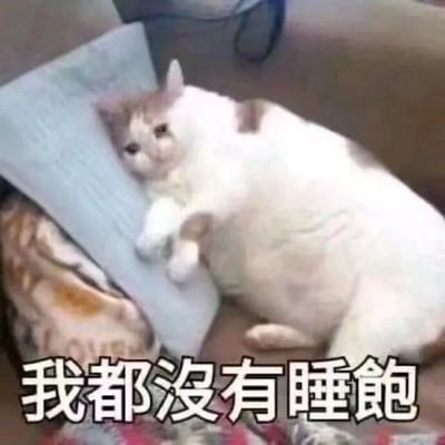 这是一张文字加注类的静态表情素材图，画面主体是一只白棕相间的胖猫，它侧趴在类似键盘的物品旁边，前爪搭在物品表面，眼神惺忪涣散，神态看起来十分疲惫萎靡，整体状态慵懒无力。图片下方配有简体中文文字“我都没有睡饱”，将猫咪的疲惫状态拟人化，精准传递出睡眠不足、精神不济的情绪，很容易让有熬夜、缺觉经历的人产生共鸣，常被用作在社交场景中抒发困倦、不想起身工作或活动的心情的表情包。