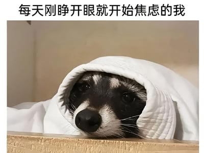 图片中是一只用白色毯子裹着头的浣熊，只露出鼻子和眼睛，眼神中透露出焦虑和不安的情绪。图片上方配有文字“每天刚睁开眼就开始焦虑的我”，用动物的表情生动形象地表达了现代人早晨醒来就感到焦虑的状态。