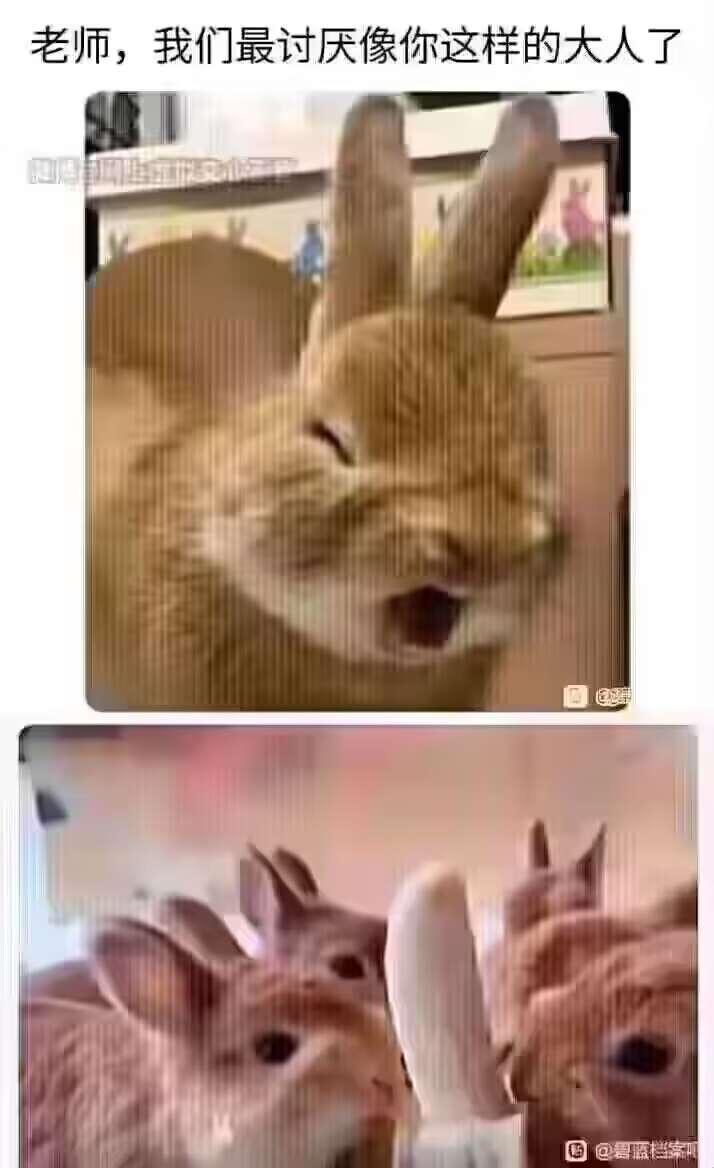 《比得兔》