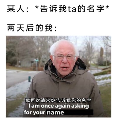 这是一张经过二次创作的幽默梗图，上方文字构建了一个日常场景：某人让“我”记住一个人的名字，两天后“我”完全遗忘了这个名字，只能借助伯尼·桑德斯的经典梗图场景，配文“我再次请求你告诉我你的名字”，用夸张又贴合的方式，生动展现了人们记不住他人名字时的尴尬与无奈，精准还原了这种常见的健忘社死瞬间，充满了生活共鸣感。