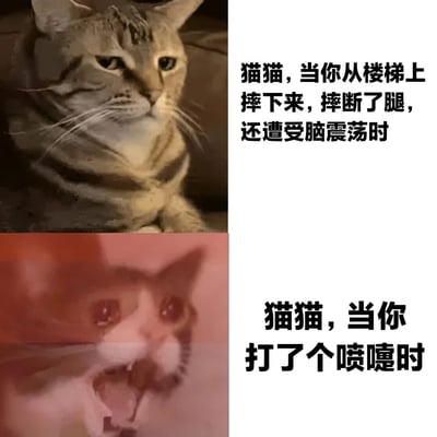 图片为上下两部分的对比梗图。上半部分左侧是一只表情严肃、眼神平静的虎斑猫，右侧文字描述“猫猫，当你从楼梯上摔下来，摔断了腿，还遭受脑震荡时”；下半部分左侧是一只眼睛睁大、嘴巴张开、像是正在打喷嚏的猫，右侧文字描述“猫猫，当你打了个喷嚏时”。通过夸张的对比，幽默地表现猫咪对严重伤害和轻微喷嚏的反应反差，突出搞笑效果。