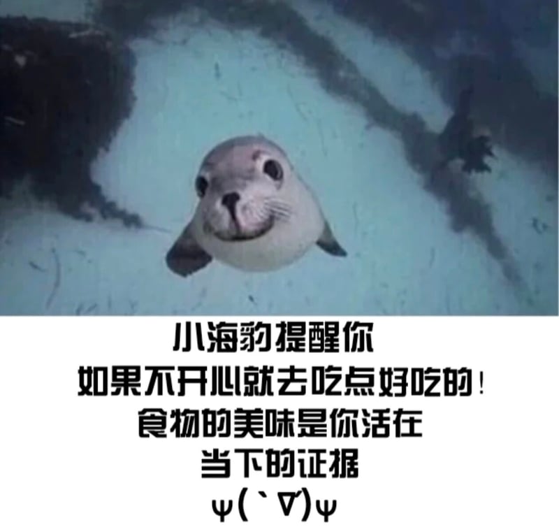 小海豹