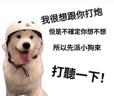 这张图的主体是一只戴着白色头盔的萨摩耶狗狗，它吐着舌头，前爪抬起，看起来开心又兴奋。图中配文玩了谐音梗：“我很想跟你打炮，但是不确定你想不想，所以先派小狗來，打聽一下！” 这里利用“打炮”和“打听”的发音相近，制造出反差感，用可爱的狗狗作为“使者”，把直白的试探包装得俏皮又搞笑，既表达了想要亲近对方的心意，又用玩笑的方式降低了尴尬感，适合用来和暧昧对象调侃或者朋友间开玩笑。