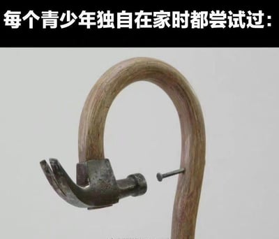 图片上方有文字"每个青少年独自在家时都尝试过："，下方是一张展示木杖的照片。木杖呈弧形，末端有一个金属钩，钩子上挂着一颗钉子。这张图片通过展示一个日常物品，幽默地暗示了青少年独自在家时可能会进行的模仿老年人使用拐杖的幼稚行为，引发观众共鸣和笑声。