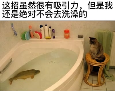 图片展示了一个有趣的浴室场景：浴缸里装满了水，一条大鱼在水中游动，旁边凳子上坐着一只猫。图片上方配有文字“这招虽然很有吸引力，但是我还是绝对不会去洗澡的”，幽默地表现了猫咪即使面对鱼的诱惑也坚决拒绝洗澡的可爱态度。