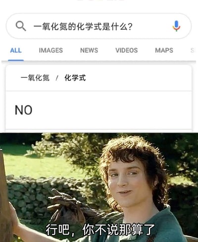 这是一张上下拼接的二次创作搞笑梗图，上半部分是模拟搜索引擎的网页UI截图，用户搜索“一氧化氮的化学式是什么？”，页面显示其化学式为“NO”；下半部分是经典奇幻电影《指环王》中佛罗多·巴金斯的剧照，配文“行吧，你不说那算了”。该图利用“NO”既代表一氧化氮的化学式，又可作为英文“不”的含义这一双关属性，制造出误以为搜索引擎拒绝回答问题的搞笑效果，属于谐音梗类的表情包。