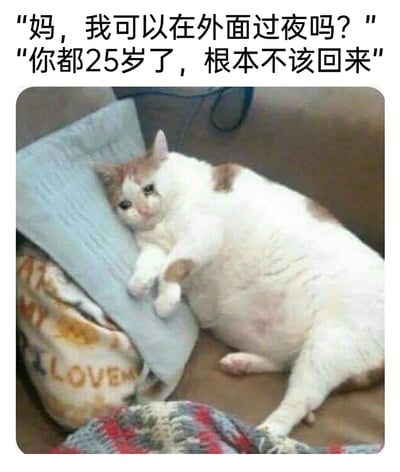 这是一张文字加注类的搞笑梗图，图中一只白棕相间的胖猫咪眼角挂着泪痕，一脸委屈可怜地瘫靠在笔记本电脑旁，前肢搭在电脑上，身体放松地躺卧着，姿态低落又慵懒。图的上方配有两段对话：孩子（以猫咪代入）问“妈，我可以在外面过夜吗？”，妈妈回复“你都25岁了，根本不该回来”，用幽默反差的方式调侃了当代大龄青年在家庭中被家长默认应该独立、不该还依赖家庭的尴尬处境，猫咪的委屈表情和扎心对话形成强烈共鸣点，既搞笑又精准戳中年轻人的生活痛点。