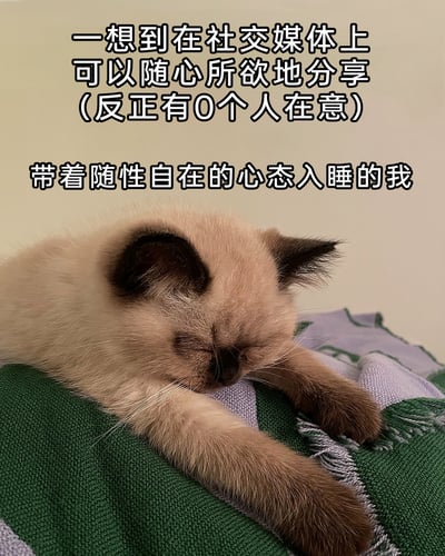 这是一张结合宠物实拍与网络情绪的文字加注表情包，画面主体是一只双眼紧闭、神态安详的暹罗幼猫，正趴在绿紫相间的织物上熟睡，前爪自然伸展，姿态慵懒放松。图中上方配有两段文字：“一想到在社交媒体上可以随心所欲地分享（反正有0个人在意）”“带着随性自在的心态入睡的我”，用猫咪熟睡的松弛状态，精准映射当代人在社交平台上的一种特殊心态——因为知道自己的分享不会被他人关注，反而摆脱了“求关注”的焦虑，获得了随心所欲分享的自由与松弛感，容易引发网友共鸣。