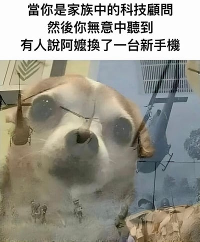 这张梗图上方有文字说明：'当你是家族中的科技顾问 然后你无意中听到 有人说阿嬷换了一台新手机'。下方是一张经过合成的图片，主体是一只表情极度震惊、双眼圆睁的狗脸特写，背景隐约可见直升机和类似战争或灾难的场景。图片通过将日常家庭科技支持的场景与紧张的战争视觉元素结合，形成幽默的反差效果，表达了作为家族科技顾问听到长辈换了新手机时可能感到的压力和焦虑。