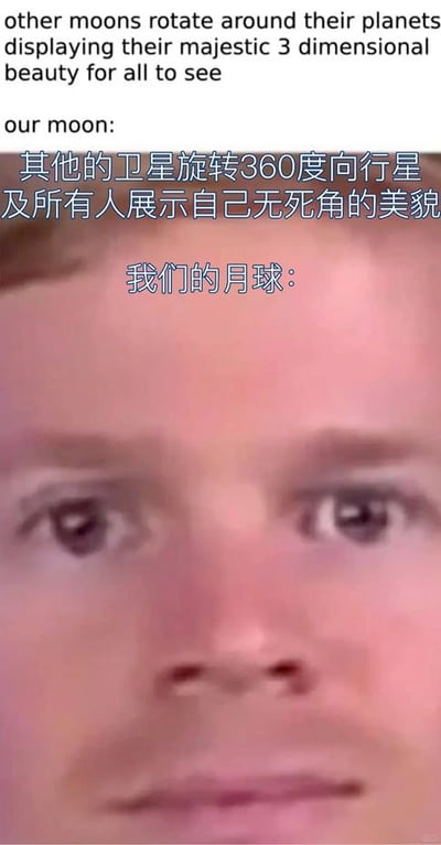 图片上半部分有英文和中文对比文字，英文内容为'other moons rotate around their planets displaying their majestic 3 dimensional beauty for all to see our moon:'，中文翻译为'其他的卫星旋转360度向行星及所有人展示自己无死角的美貌 我们的月球：'。下半部分是一张真人面部特写，人物表情平静，眼神直视前方，通过对比幽默地表现其他卫星能全方位展示自己，而地球的月球因潮汐锁定总是以同一面朝向地球的特点。