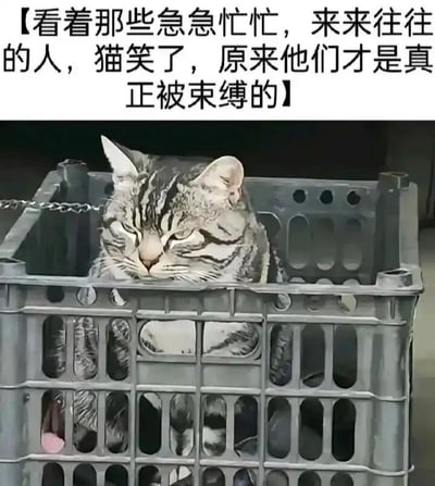 这是一张图文混排的静态梗图，画面主体是一只狸花猫，它被关在灰色的塑料周转箱中，脖子处还系着链条，看起来像是被物理束缚；但猫咪半眯着眼睛，神态慵懒放松，甚至带着一丝戏谑感。图片上方配有一段文字：“【看着那些急急忙忙，来来往往的人，猫笑了，原来他们才是真正被束缚的】”。这张图通过强烈的反差感制造讽刺效果：表面上被限制自由的猫，却以旁观者的视角，调侃为生活、工作奔波忙碌，被生活压力、琐事所束缚的人们，形成一种荒诞又扎心的反差，引发观者对自身生活状态的共鸣与思考。