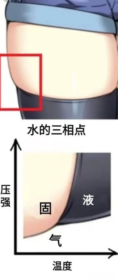 这张梗图由两部分组成：上方是动漫风格角色的大腿特写（带红色方框），下方是模仿水的三相点相图的结构，将大腿不同区域标注为'固'（固体）、'液'（液体）、'气'（气体），并在上方配有'水的三相点'文字。图中通过幽默的方式将科学概念与动漫元素结合，制造出荒诞搞笑的效果，没有明显的双关或谐音梗，主要是利用视觉错位和概念混搭来博人一笑。
