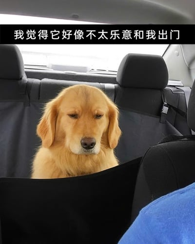 这张图片呈现了一只金毛寻回犬坐在汽车后座的宠物专用座垫上的场景，它耷拉着眼皮，眉头微皱，眼神低垂，满脸都是低落、不情愿的神情。图片上方配有文字“我觉得它好像不太乐意和我出门”，精准地呼应了狗狗的状态，将狗狗抗拒出门的情绪直观地展现出来，画面充满了萌趣又治愈的氛围，让人感受到宠物和主人相处时的趣味瞬间。