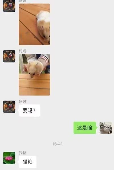 这是一张微信家庭群的聊天记录截图，备注为“妈妈”的成员先发送了2张仓鼠的实拍照片，随后发问“要吗？”，子女回复询问“这是啥”，备注为“我爸”的成员则答出“猫粮”。该内容的笑点在于父亲误会了母亲发来的仓鼠的用途，将其误认为是猫粮相关的食材，结合标题里仓鼠的视角发问“我也要死吗”，形成了荒诞的搞笑效果。