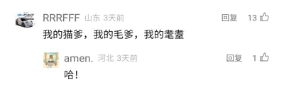 这是一张横版的社交平台评论区截图，展示了两条用户评论。第一条评论来自IP地址为山东的用户“RRRFFF”，发布于3天前，用户头像是一辆带有日文标识的跑车，评论内容为“我的猫爹，我的毛爹，我的耄耋”，运用了谐音梗，“猫”“毛”与“耄”发音相近，通过重复的句式制造趣味，这条评论获得了13个赞；第二条评论是IP地址为河北的用户“amen.”在3天前的回复，用户头像是一个卡通人物坐在桌前的画面，评论内容仅为“哈！”，表达出对前一条评论的笑点认同，该回复获得了1个赞。整个截图呈现了用户在社交平台上玩文字梗并引发互动的场景。