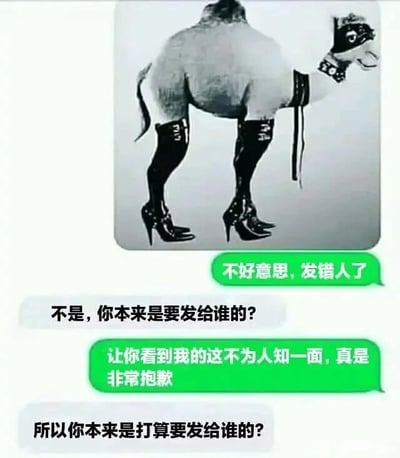 这是一张图文混排的聊天记录截图，上方是经过P图创作的趣味图片：将骆驼的腿部替换为带有装饰的黑色长筒高跟靴，头部还搭配了皮质手套，形成荒诞滑稽的视觉效果，充满恶搞趣味。下方是两段微信风格的聊天对话，绿色气泡的消息发送者先发消息称“不好意思，发错人了”，接收者随即追问“不是，你本来是要发给谁的？”，发送者试图转移话题，回复“让你看到我的这不为人知一面，真是非常抱歉”，但接收者没有放弃，继续追问“所以你本来是打算要发给谁的？”。整个场景还原了日常社交中发错消息的社死瞬间，发送者的转移话题未能成功，被持续追问的窘境结合上方的搞笑P图，进一步放大了尴尬又滑稽的氛围。