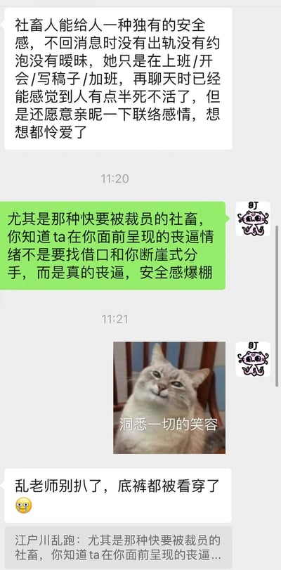 这是一张社交媒体聊天记录截图，展示了关于"社畜人"（职场打工人）独特安全感的讨论。对话中提到，职场人士不回消息时通常是因为工作忙碌而非感情问题，甚至快要被裁员的职场人表现出的沮丧情绪反而让人感到安全，因为那是真实的工作压力而非感情借口。图片中还包含一张带有"洞悉一切的笑容"文字说明的猫的照片，增添了幽默效果。