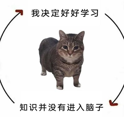 这是一张用于自嘲的搞笑表情包，画面中心是一只表情低落、神态无奈的短腿狸花猫，画面外围的环形箭头构建出一个循环闭环，顶部配文“我决定好好学习”，底部配文“知识并没有进入脑子”，精准地调侃了人们在学习时常常出现的“下定决心努力，却因为注意力不集中、理解困难等原因，无法真正吸收知识”的困境，生动又形象地传递出学习时的无力感，极易引发学生群体以及需要学习新知识的人的共鸣。