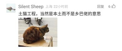 这是一条来自上海用户Silent Sheep的社交媒体动态，发布于22小时前，收获6个点赞。动态中的文字专门解释了“土猫工程”里的“土”代表本土的含义，并非带有贬义的“乡巴佬”；同时搭配了一张实拍照片，照片里一只玳瑁毛色的本土猫咪正蹲坐在纸箱顶部，侧头看向画面右侧，背景是户外街边的路面和电动车，整体场景日常且真实，用实际的本土猫咪呼应了“土猫”的说法，让文字解释更直观。