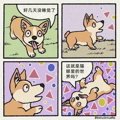 这是一组四格连环卡通漫画，主角是一只柯基。第一格中，柯基眼睛布满红血丝、吐着舌头，配文“好几天没睡觉了”，展现出它极度缺觉的状态；第二格开始，柯基的视觉出现幻觉，背景变成布满彩色圆形、三角形的图案；第三格特写柯基惊讶的表情，幻觉图形更加清晰；第四格柯基四脚朝天躺在地上，配文“这就是猫眼里的世界吗？”，它将自己缺觉产生的视觉幻觉误解为猫看到的世界，用幽默的脑洞玩了猫的视觉特性的梗，因为猫的视觉对动态图形和特定几何形状更敏感，漫画借此制造出荒诞搞笑的效果。