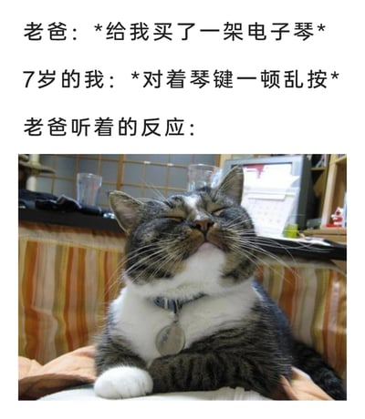 这是一张图文混排的搞笑梗图，上方文字构建了一个温馨的亲子日常场景：老爸给7岁的孩子买了一架电子琴，孩子对着琴键一顿乱按，下方的猫咪图片则拟人化地表现出老爸听到时的反应——猫咪双眼紧闭，仰头抬脸，露出十分陶醉、享受的神情，仿佛正在认真欣赏“演奏”。用这种可爱的拟人手法，既制造出幽默的效果，也传递出老爸对孩子的包容与宠溺，让平凡的日常充满趣味，容易引发有类似亲子经历的网友共鸣。