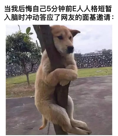 图片上方有文字“当我后悔自己5分钟前E人人格短暂入脑时冲动答应了网友的面基邀请：”，下方是一只土黄色的狗用前爪紧紧抱着树干，身体悬挂着，表情看起来有些无奈和懊悔，背景是有树木和石墙的户外场景。这张图通过狗抱树的形象，幽默地表达了性格外向者(E人)冲动答应网友见面后又感到后悔的心情。