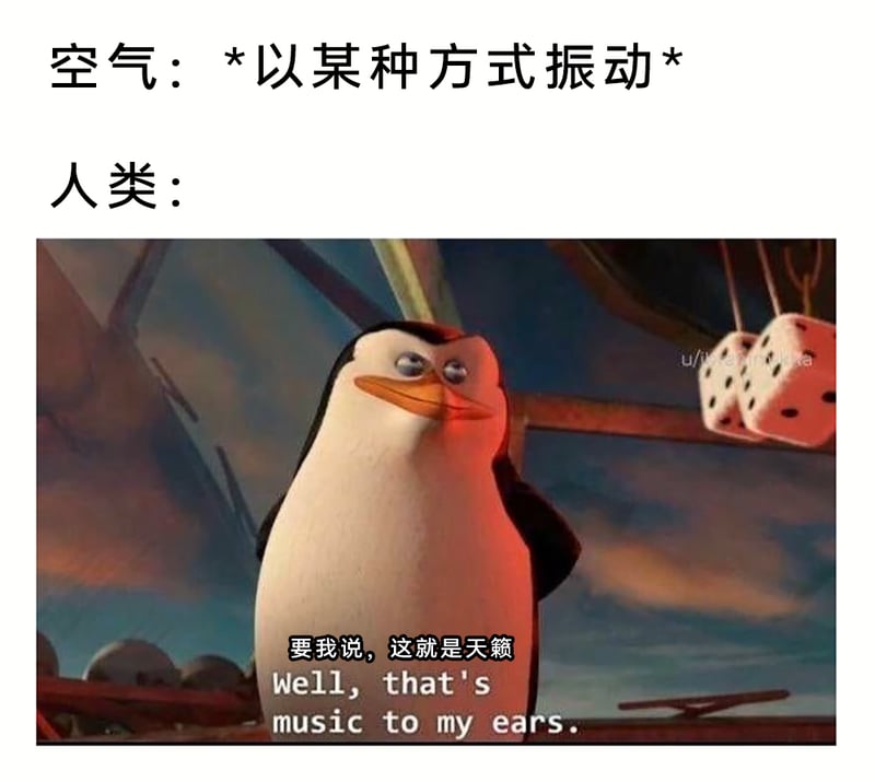 Skipper