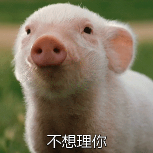 可爱小猪不想理你动态表情包