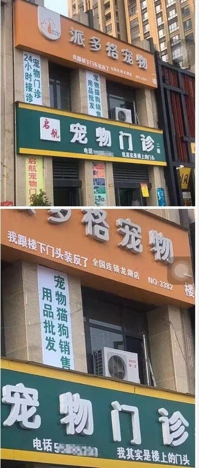 这是一组上下拼接的竖版实拍图，记录了街头宠物店铺的有趣乌龙事件。图中二楼的「派多格宠物」和一楼的「启航宠物门诊」门头被装反了，店家没有重新安装，而是在门头上添加了搞笑的自黑文字：二楼的派多格宠物门头标注“我跟楼下门头装反了 全国连锁龙湖店 NO:3382”，一楼的宠物门诊门头则标注“我其实是楼上的门头”，同时竖牌的业务标识也跟着错位，原本属于二楼的“宠物猫狗销售 用品批发”竖牌出现在一楼位置，一楼的“24小时接诊 宠物门诊”竖牌在二楼，这种接地气的处理方式让失误变成了趣味看点，充满幽默效果。