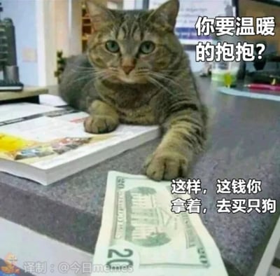 这是一张搞笑的宠物梗图，画面主体是一只趴在办公桌上的虎斑猫咪，它神态冷漠，一只爪子按住20美元钞票。图中配文以猫咪的视角展开：先反问“你要温暖的抱抱？”，紧接着给出“拿钱去买只狗”的解决方案，用幽默夸张的方式表现出猫咪傲娇、高冷、不愿与人亲近的典型性格，通过出钱让对方换个能给抱抱的宠物的行为，制造出强烈的反差笑点，精准戳中养猫人对猫咪高冷属性的共鸣。