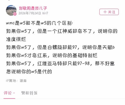 这是一张X.com平台的社交媒体发言截图，发布用户昵称为“刘敬阳是我儿子”，发布时间标注为2026年7月24日，IP属地为湖南，内容是音游《WACCA》（简称WMC）玩家圈的玩梗内容，列出了鉴别真实达到W5高段位玩家和虚假W5段位玩家的几条标准：如果达到W5段位却没法全连（圈内俗称“鸟”）红神威曲目，说明准度差；达到W5段位白螺旋曲目能拿到97分，说明是天赋型玩家；到W5段位才能全连红系曲目，说明基础差；达到W5段位后红提亚马特曲目只能拿到97-98分，说明该W5段位是找他人代打获得的。