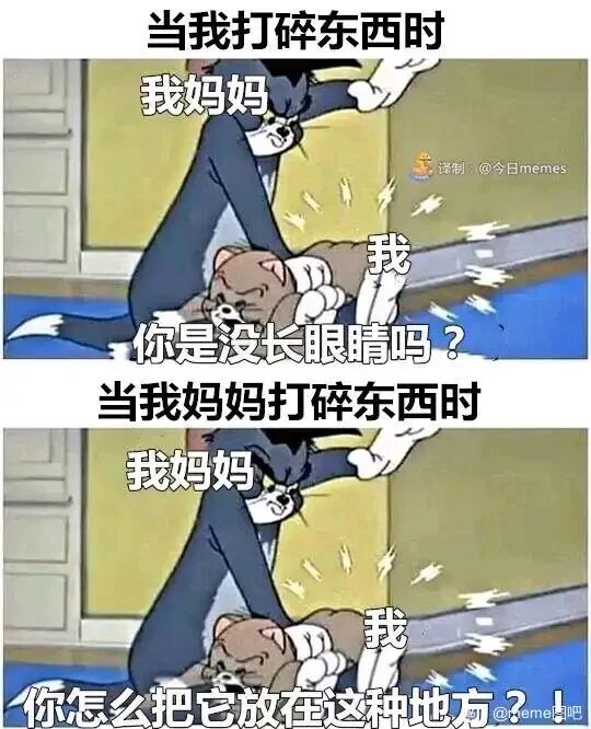猫和老鼠