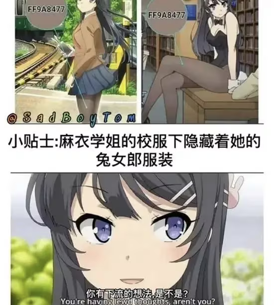青春期笨蛋不做兔女郎学姐的梦