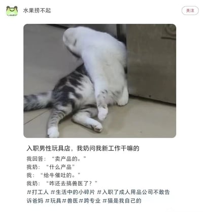 图片上方是两只猫的互动场景：一只白猫趴在灰虎斑猫身上，灰虎斑猫则四仰八叉地躺在地上，姿态放松。图片下方配有一段家庭对话文字：主角入职男性玩具店后，被奶奶询问工作内容，用“卖产品的”含糊回应，在奶奶追问“什么产品”时，急中生智回答“给牛催吐的”，导致奶奶误以为新工作是兽医。整体通过猫咪的可爱画面与幽默对话结合，展现了年轻人面对长辈询问敏感工作时的机智（且离谱）借口，充满生活气息和反差萌笑点。