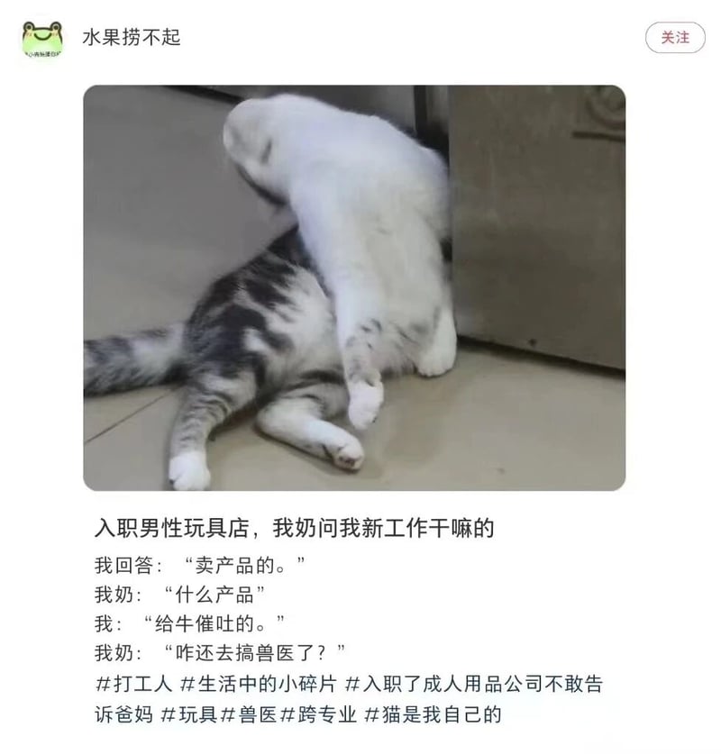 灰虎斑猫