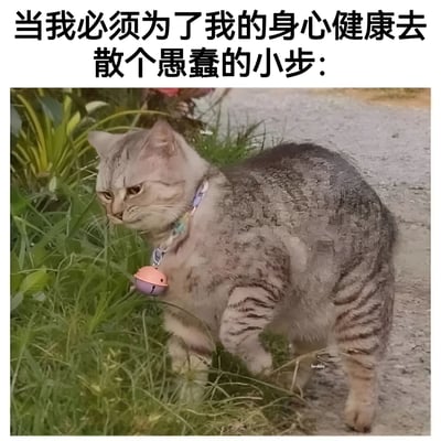 这张图片展示了一只戴着粉色铃铛项圈的灰色虎斑猫，正不情愿地在路边草地上散步。猫的表情看起来有些不耐烦和抗拒，身体姿态也显得有些僵硬。图片上方配有文字：'当我必须为了我的身心健康去散个愚蠢的小步:'，通过拟人化的手法，幽默地表达了人们虽然知道运动有益健康但仍感到不情愿的矛盾心理。猫的身体部分区域有明显的像素化处理痕迹，可能是为了强调其'被迫营业'的不情愿状态。
