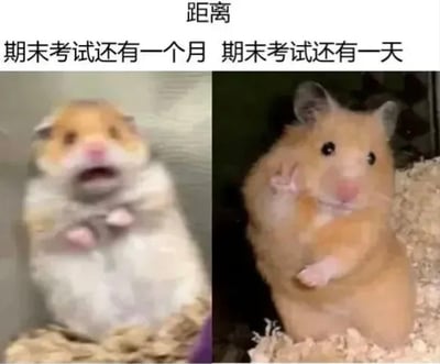 该图为左右结构的对比类梗图，顶部配有说明文字，左侧标注对应“距离期末考试还有一个月”的状态，右侧对应“距离期末考试还有一天”的状态。左侧画面里的仓鼠画质模糊，嘴巴微张、神态茫然松弛，呈现出考试还早、毫不在意的心态；右侧画面里的仓鼠画质清晰，眼神空洞、肢体僵硬，两只前爪放在脸颊旁，呈现出考试临头、焦虑慌乱不知所措的状态，形象地调侃了学生群体在期末考试临近不同阶段的心态反差。