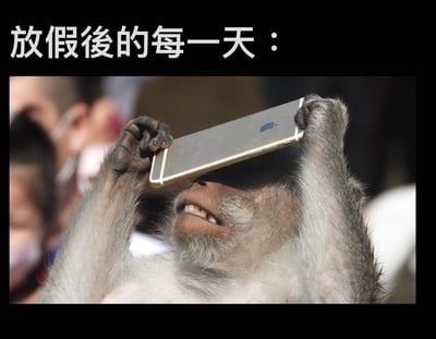图片上方有白色文字“放假後的每一天：”，下方是一只猴子双手举着一部金色iPhone手机挡在眼睛前方，表情看起来十分专注。背景中隐约可见模糊的人影，整体画面通过猴子沉迷手机的形象，幽默调侃了人们放假后每天离不开手机的状态。