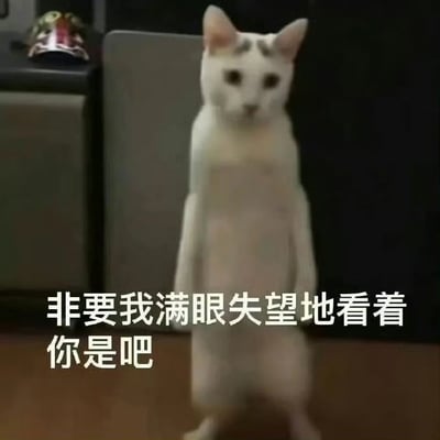 图片中一只白色猫咪直立站在地面上，前爪自然垂下，头部微微前倾，眼神直视前方，表情看似严肃。图片底部配有白色文字“非要我满眼失望地看着你是吧”，通过将猫咪拟人化，赋予其人类的失望情绪，形成一种幽默的反差感，常用于在社交互动中以调侃的方式表达对他人行为的无奈或“失望”。