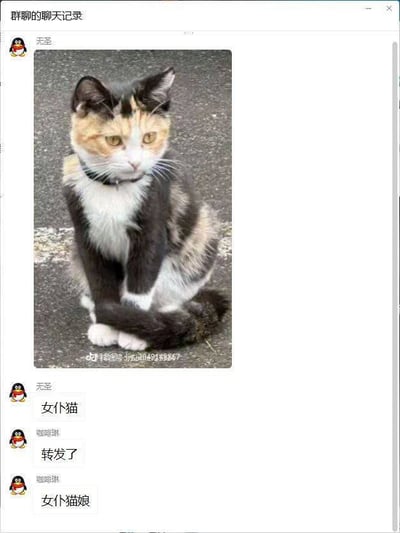 这是一张QQ群聊的聊天记录截图，群成员“无圣”首先发出一张三花猫的实拍照片，这只三花猫前爪交叉放在身前坐着，神态淡定，姿势酷似双手交叠站立的女仆形象，随后“无圣”主动玩梗称这只猫为“女仆猫”，另一名群成员“咖啡琳”先表示要转发该内容，后续也顺着梗将猫咪称为“女仆猫娘”，整体是网友结合二次元女仆设定对猫咪拟人玩梗的搞笑内容。