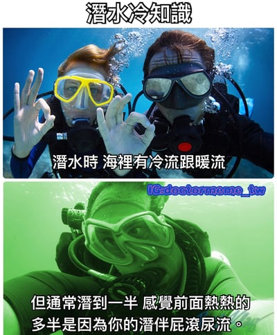 图片分为上下两部分，均为水下潜水场景。上半部分有两名戴着潜水镜和呼吸管的潜水员，对着镜头比OK手势，上方文字为'潜水冷知识'，中间文字说明'潜水时 海裡有冷流跟暖流'。下半部分是一名潜水员的特写，画面带有绿色滤镜，文字幽默地指出'但通常潛到一半 感覺前面熱熱的 多半是因為你的潛伴屁滾尿流。'，通过科学知识与低俗幽默的反差制造搞笑效果。