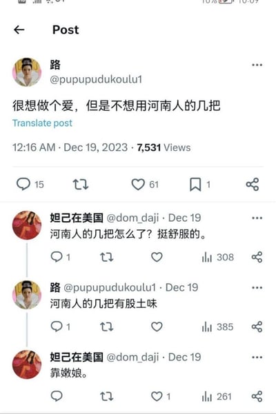 这是一张海外社交平台的竖屏截图，用户「路」发布了歧视河南人的低俗言论，称「很想做个爱，但是不想用河南人的几把」，还后续补充「河南人的几把有股土味」；用户「妲己在美国」则反驳该言论，称「河南人的几把怎么了？挺舒服的」，最后用方言脏话「靠嫩娘」回怼对方的歧视言论，双方围绕低俗的地域相关内容展开争执，语言粗俗不堪，属于网络上的低俗地域歧视对线场景。