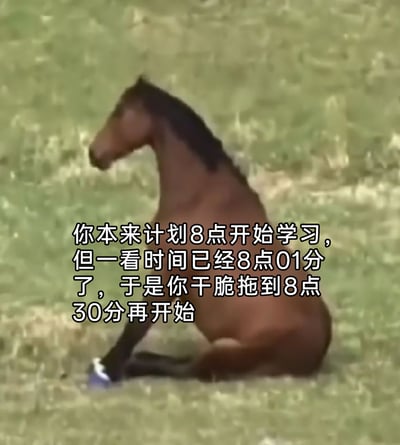 这是一张文字加注的静态梗图，画面主体是一匹棕色的马慵懒地坐在草地上，姿态看起来不想起身，搭配的文字内容精准描绘了拖延症人群的典型行为：原本计划8点开始学习，发现已经晚了1分钟后，索性彻底拖延到8点30分再开始。图片用马的慵懒状态呼应了拖延时不想行动的心态，用幽默的方式调侃了这种普遍的生活现象，容易引发有拖延习惯的人的共鸣。