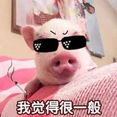 小猪