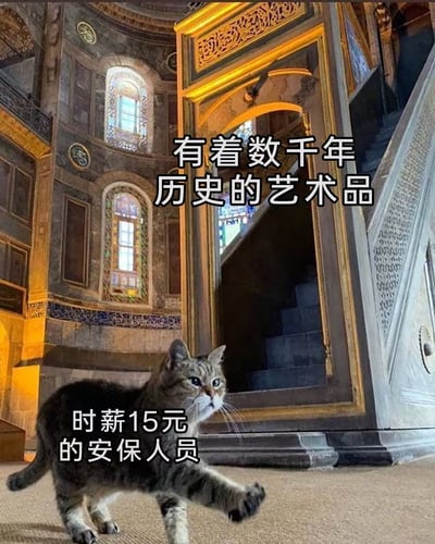 图片展示了一座具有千年历史的宏伟建筑内部，穹顶高耸，墙壁上有精美的雕花和彩色玻璃窗，尽显历史艺术气息。前景中一只虎斑猫正迈开步子行走，上方配有文字“有着数千年历史的艺术品”，猫咪身旁则标注“时薪15元的安保人员”。通过将古老珍贵的建筑与“廉价雇佣”的猫咪进行幽默对比，营造出强烈的反差萌效果，让人会心一笑。