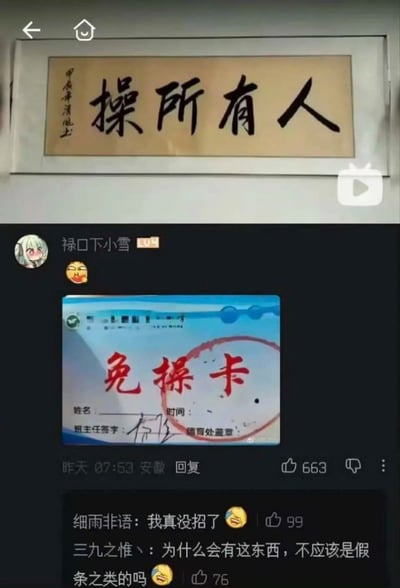 这是一张竖屏的社交媒体评论区截图，整体分为上下两部分：上方展示了一幅装裱好的书法作品，米黄色衬底上写有四个黑色大字“操所有人”，左侧落款为“甲辰年清風出”；下方是哔哩哔哩评论区界面，用户名“禄口下小雪”的网友发布了一张自制“免操卡”并搭配奸笑表情，免操卡为蓝白底色，印有红色大字“免操卡”，还预留了姓名、时间、班主任签字、德育处盖章的填写位置。该评论获得了663个赞，下方有两条其他网友的回复，分别为“细雨非语：我真没招了”和“三九之惟丶：为什么会有这东西，不应该是假条之类的吗”，两条回复都搭配了笑哭表情。内容利用“操”字的歧义，将书法内容的低俗表意和校园学生免除早操的需求结合，产生了强烈的搞笑反差效果。