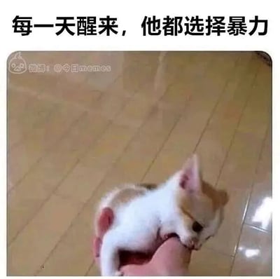 这是一张文字加注类的萌宠趣味图，顶部配有文字“每一天醒来，他都选择暴力”，图中一只黄白相间的小奶猫正咬着人的手指，神态看起来奶凶奶凶的，做出类似“暴力”的啃咬动作，但实际上小奶猫的啃咬毫无杀伤力，和顶部夸张的文字形成强烈的反差感，用戏谑的方式凸显小奶猫的软萌可爱，让人觉得十分有趣。